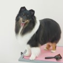 로다 살롱