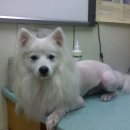 한얼동물병원 이미지