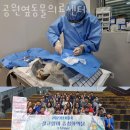 공원옆동물의료센터 이미지