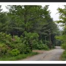 아세아세탁소 이미지