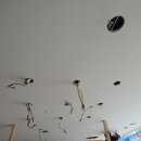 센텀애견샵 이미지