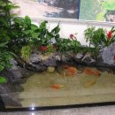 청석 초등학교 이미지