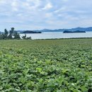 송평해수욕장2 이미지