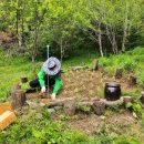 조안 농장 이미지