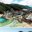 소노펠리체 컨트리클럽 비발디파크 마운틴 매일경제