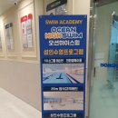 오션하이스윔 네이버블로그