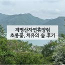 대성종합관리 | 충주 계명산자연휴양림 가족호텔 치유의 숲 프로그램 후기 | 충주 여행 숙소