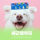 세교엘약국 네이버블로그