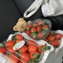 택근농장 이미지