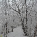 임신마을 이미지