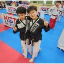 옥길버들초 이미지