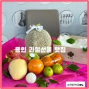 228-2-000115 | [용인]과일바구니 박스 선물 전문점 “홍과당” 솔직후기