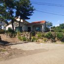 덕수리-2 이미지