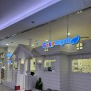 수유안경백화점 | (수유실정보) 5개월 아기랑 베이비엔젤스 롯데백화점 광복점 방문후기