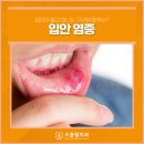 입안에행복치과의원 이미지