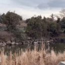 한경면 청수물마을 이미지