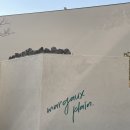 마고플레인 이미지