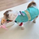 마켓왈(Market Wal) 이미지