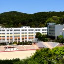 부산대학교사범대학부설고등학교 이미지