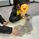 영렘브란트양벌미술학원