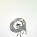 동해개발