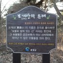 박거겸 장군 묘 | [2014년 vs 2019년] 홍성 보개산 솔바람길 - 재너머 사래긴 밭 가는 길