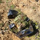 농산물 소개소 이미지