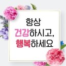 하루 10분 귀 마사지로 건강해지기 이미지