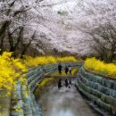 왕인박사유적지 이미지