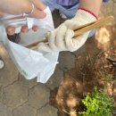 노래로 배우는 Easy English | 영어도서관] Looking after Our Environment! 2025 English Summer Class TREE반(초등 3~4학년) 후기!
