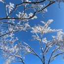 럭키데이 이미지