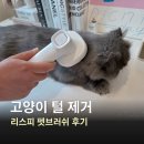 미미펫 그루밍 샵 | 고양이 털 제거 용품, 리스피 OH라디칼 케어 펫브러쉬 사용 후기