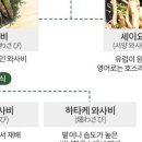 신와사비 이미지