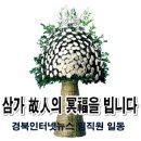 백금희 이미지