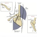 박제성 운동케어 CHI & FIT 퍼스널 트레이닝 | 오십견 재활PT 어깨움직임 견갑골정렬 개선운동 성공사례 #송파PT #위례PT #문정PT #개롱PT