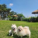 워니시티 이미지