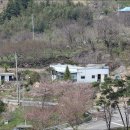 백학로 이미지