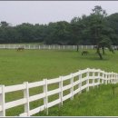 더불어목장 이미지