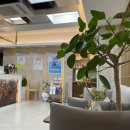 연세더블유산부인과의원 이미지