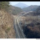 봉화여관 Daum카페