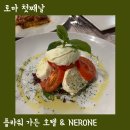 플라워 짐 | 테르미니역 플라워 가든 호텔 그리고 맛집 nerone 후기 이탈리아 로마 여행 1일차