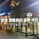 엘림오피스텔 | 양재 통증/체형관리 경락 &lt;엘림피부경락&gt; 추천