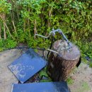 뱅 인형카페 | 서울근교 ,분당 판교몽 | 아이들과 가기좋은 테라스 카페 리뷰