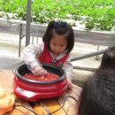 백학꿈나무어린이집 이미지