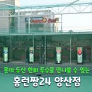 양산 물금 야구연습장 홈런짱24 방문기