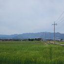 화홍초등학교 이미지