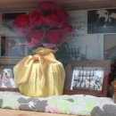 나은 강아지나라 이미지