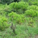 현아네 농장 이미지