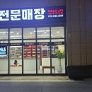 시가라이프