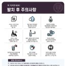 연세속편한의원 | 대전 유성구 원신흥동 연세맘편한치과에서 알려드리는 사랑니 발치부터 회복까지 완전 가이드